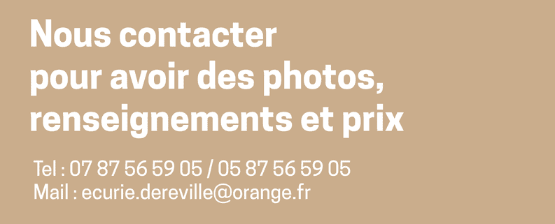contact écurie de reville