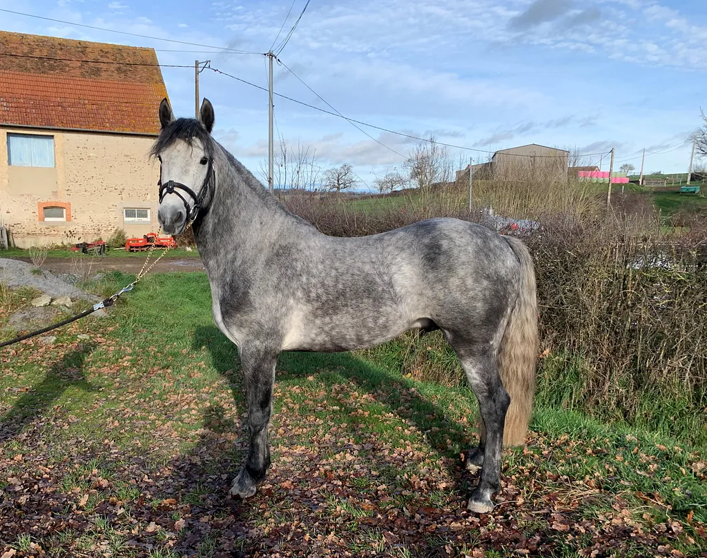 conémara a vendre