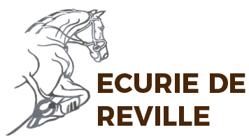 ROY DE LA VALLEE ▶Stud-book(s) d’approbation: SF ▶ Origine: ▶ Qrédo de Paulstra, étalon national, bon gagnant international, ISO 155(90), est le père d’étalons comme Hym d’Isigny ISO 183(07), Caloubet du Bois ISO 144(97), Experio ISO 165(01), Elf d’Or ISO 125(97), Epson d’Amour ISO 140(99), Fairplay du Manoir ISO 147(03), Figaro de Baugy ISO 145(02), Orion des Katvents ISO 141(08)... Il et également père de performers aussi bien en CSO qu’en CCE et dressage : Clip des Champs CSI, Corsaire du Vauban CSI, Carat II ISO 168(98), Concorde II ISO 148(00), Dorothée du Marais ISO 162(00), Déesse du Bourg ISO 153(03), Foene ISO 144(01), Felix Davière ISO 158(08), Gredo La Davière ISO 145(07), Grandhez ISO 149(03), Helisa de Kreisker ISO 152(01), Hyper Debcrevon ISO 149(08), Idalgo du Donjon ICC 165(09), Ibis de la Crique ICC 148(08), Ismene du Thot ISO 152(05), Jypsie Landaise ISO 156(06), Jordy de la Rose IDR 140(08), Kazaro de la Botte IDR 143(07), Lucky des Roquelines ISO 144(09)Praline Roctaillade ICC 148(08), Queen du Valgrente ICC 147(09) ... ▶ Laydy de la Vallée, finaliste à 4 ans, ISO 120(03), a 4 autres jeunes produits dont : ● Tendresse d’la Vallée (Qrédo de Paulstra sf) ● Up Laydy de la Vallée (Qrédo de Paulstra sf) ● Viens Tu de la Vallée (Elf d’Or sf) ● Azur de la Vallée (Elf d’Or sf) ▶ Cora d’un Soir, ISO 104(95), a 10 produits dont : ● Ketty de la Vallée, mère notamment de : ● Quenzo de la Vallée, ISO 114(08) ● Maya de la Vallée, finaliste à 4 et 5 ans, ISO 122(05) ● Olympe de la Vallée, ISO 117(07) ● Prouesse de la vallée, ISO 106(08) ▶ Régina du Fief a 7 produits dont : ● Belle Esperance, finaliste à 4 ans, ISO 121(93) ● Fromentine, ISO 120(98) ● Image d’un Soir, finaliste à 4 ans, ISO 125(00) ● Mado de la Hague, ISO 122(06) ▶ Nina du Fief (Fivizzani sf), a 11 produits dont : ● Tommy du Fief, ISO 113(93) ● Victoria de Fief, ISO 115(92), mère notamment de : ● Laurier de Bellevue, ISO 114(05) ● Noisette du Fief, ISO 111(09) ● Espoir de Fief, ISO 114(00) ● Kami du Fief, ISO 110(05) ● Mirka du Fief, ISO 111(07) Performances ▶ A 4 ans, il effectue 11 parcours sans fautes sur 15 en Cycle Classique, est finaliste à Fontainebleau. ▶ En 2010, il effectue 3 parcours en Cycle Classique 5 ans. ▶ ISO 114(09)