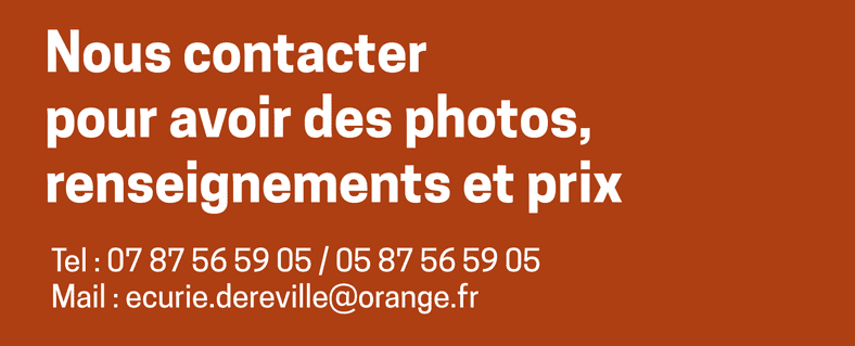 conémara a vendre