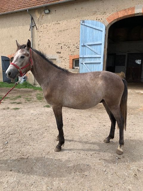 conémara a vendre